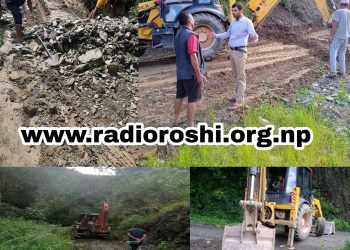 रोशीमा धमाधम सडक मर्मत कार्य हुँदै