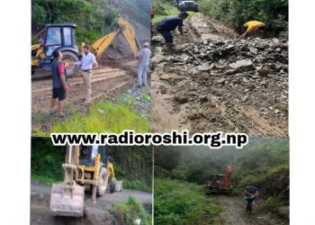 रोशीमा धमाधम सडक मर्मत कार्य हुँदै