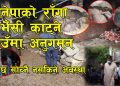 जिल्ला अनुगमन समितिद्धारा बनेपा नगरपालिकाभित्रका राँगा र भैसी कट्ने ठाउँको अनुगमन