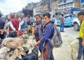खसीबोका किनबेचले बनेपाको सडक अस्तव्यस्त