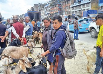 खसीबोका किनबेचले बनेपाको सडक अस्तव्यस्त