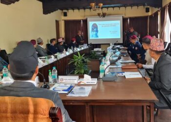 निर्मला पन्त हत्याबारे अनुसन्धान गर्न समिति गठन