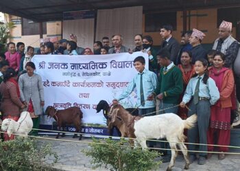 जनक माविका विद्यार्थिहरु पढ्दै अनि कमाउदै