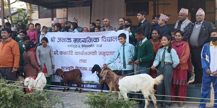 जनक माविका विद्यार्थिहरु पढ्दै अनि कमाउदै