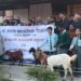 जनक माविका विद्यार्थिहरु पढ्दै अनि कमाउदै