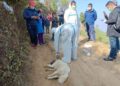 रोशी गाउँपालिका वडा नं ९ का नागरीक एवं पशुहरुलाइ रेबिज विरुद्धको खोप