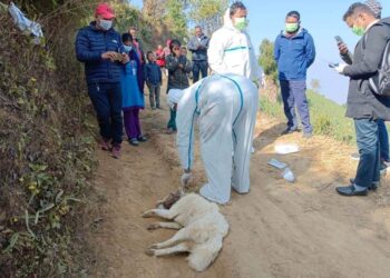 रोशी गाउँपालिका वडा नं ९ का नागरीक एवं पशुहरुलाइ रेबिज विरुद्धको खोप