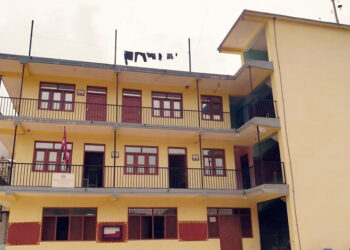 बेथानचोकमा घरपालुवा तथा छाडा कुकुरको बन्ध्याकरण गरिदै