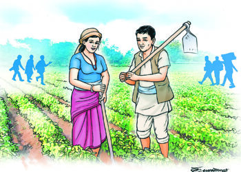पछिल्लो १० वर्षमा साढे १३ प्रतिशत जनसङ्ख्याले कृषि पेशा छाडे
