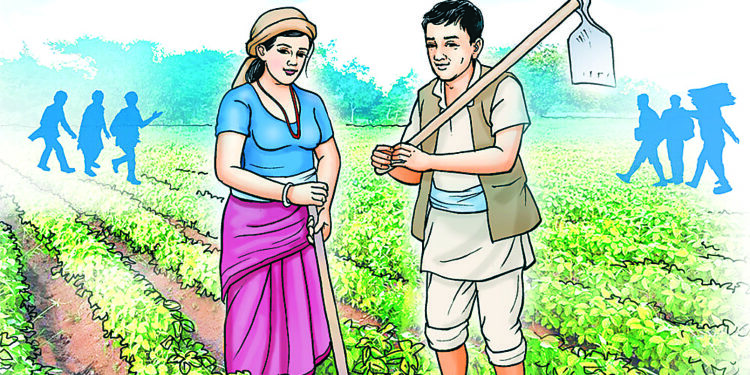 पछिल्लो १० वर्षमा साढे १३ प्रतिशत जनसङ्ख्याले कृषि पेशा छाडे