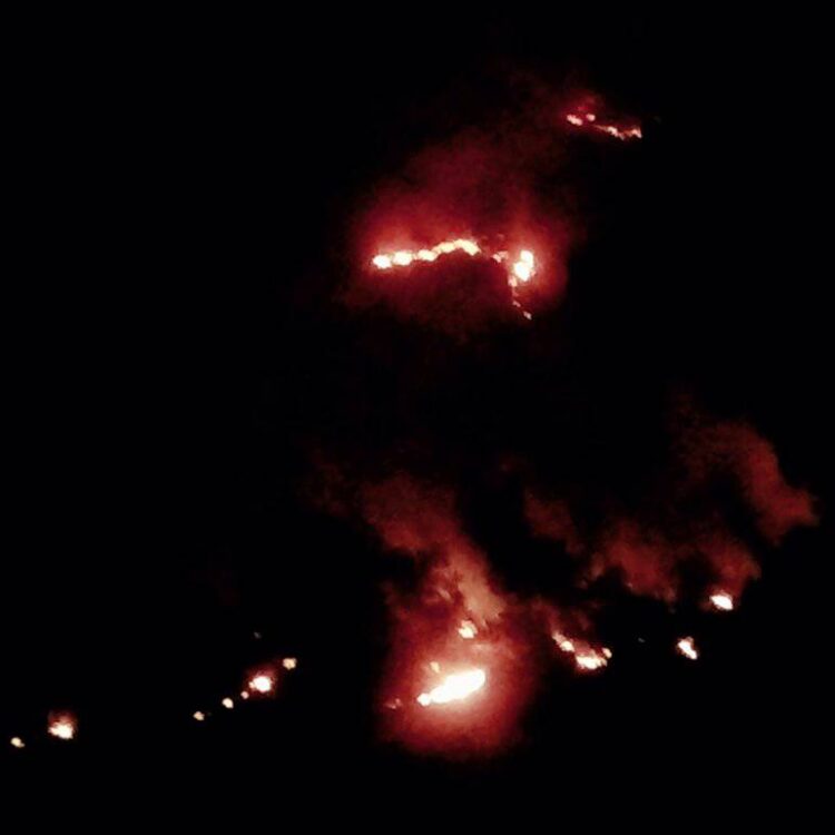 नमोबुद्ध ४ पदाली जंगलमा भीषण आगलागी