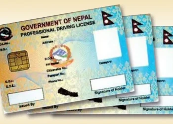 नक्कली लाइसेन्स सहित काभ्रे र सिन्धुलीका दुई चालक पक्राउ