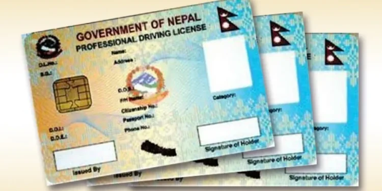 नक्कली लाइसेन्स सहित काभ्रे र सिन्धुलीका दुई चालक पक्राउ
