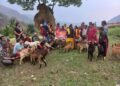 फलामेसागुमा “दलित लक्षित कार्यक्रम” अन्तर्गत बाख्रा र प्रबिधी वितरण