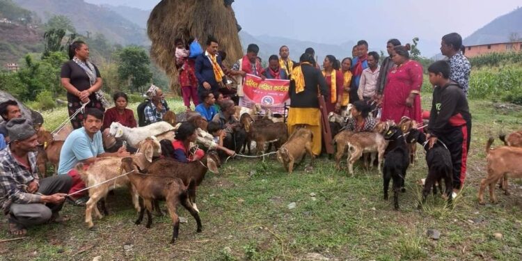 फलामेसागुमा “दलित लक्षित कार्यक्रम” अन्तर्गत बाख्रा र प्रबिधी वितरण
