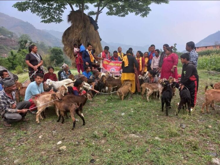 फलामेसागुमा “दलित लक्षित कार्यक्रम” अन्तर्गत बाख्रा र प्रबिधी वितरण