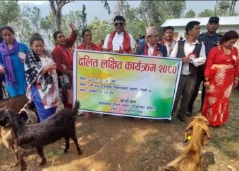 रोशी ७ मा “दलित लक्षित कार्यक्रम“ अन्तर्गत बाख्रा वितरण