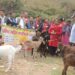 कालढुंगामा “दलित लक्षित कार्यक्रम” अन्तर्गत बाख्रा तथा प्रबिधी बितरण