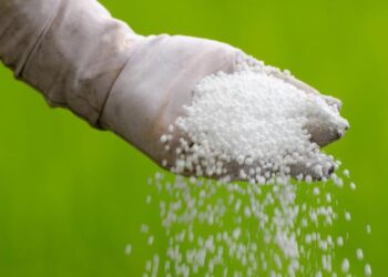 यस वर्ष रसायनिक मलको अभाव हुन नदिने सरकारको दाबी