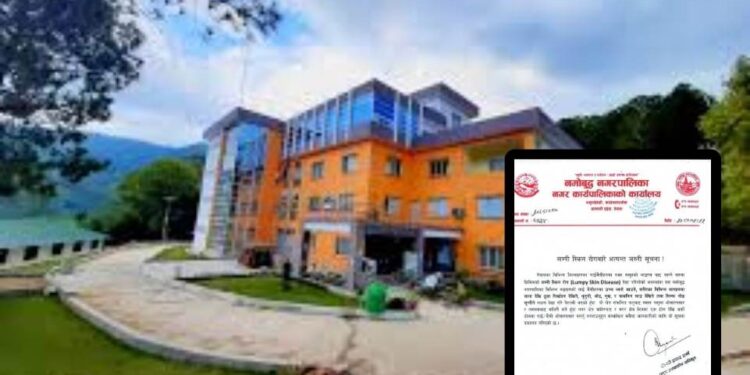 लम्पी स्किनको जोखिमः एक टोल देखि अर्को टोलमा गाईभैंसी ओसारपसार नगर्न नमोबुद्धको अपिल