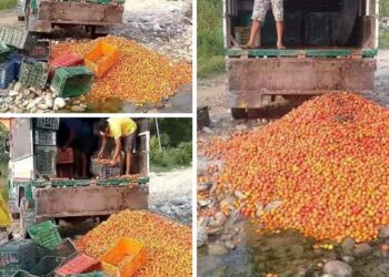 मुल्य नपाएपछि उत्पादित तरकारी खोलामा फाल्न बाध्य पाँचखालका तरकारी व्यबसायी