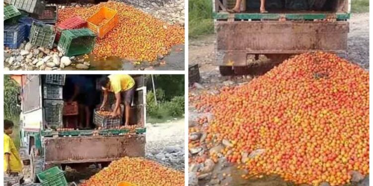 मुल्य नपाएपछि उत्पादित तरकारी खोलामा फाल्न बाध्य पाँचखालका तरकारी व्यबसायी