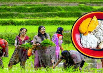 आज राष्ट्रिय धान दिवस तथा रोपाइँ महोत्सव