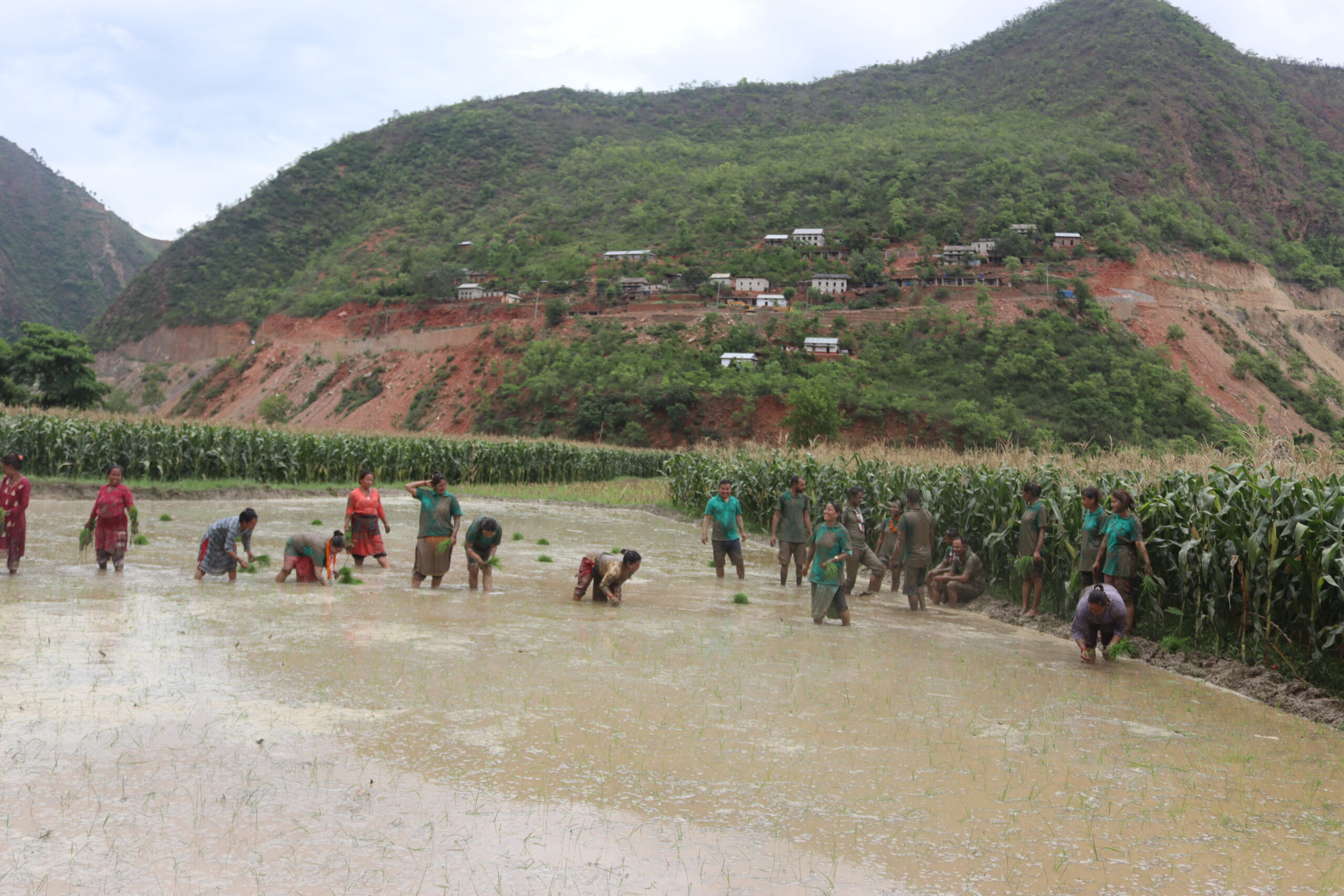 रेडियो रोशी १०१.६ मेगाहर्ज