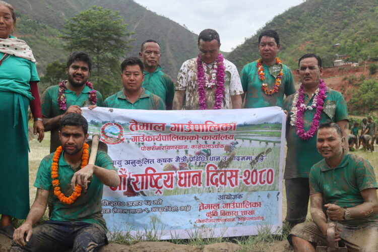 तेमालका प्रतिनिधिहरुले मनाए २० औँ राष्ट्रिय धान दिवस (फोटोफिचर)
