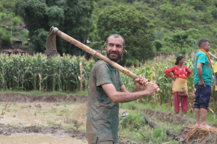 तेमालका प्रतिनिधिहरुले मनाए २० औँ राष्ट्रिय धान दिवस (फोटोफिचर)