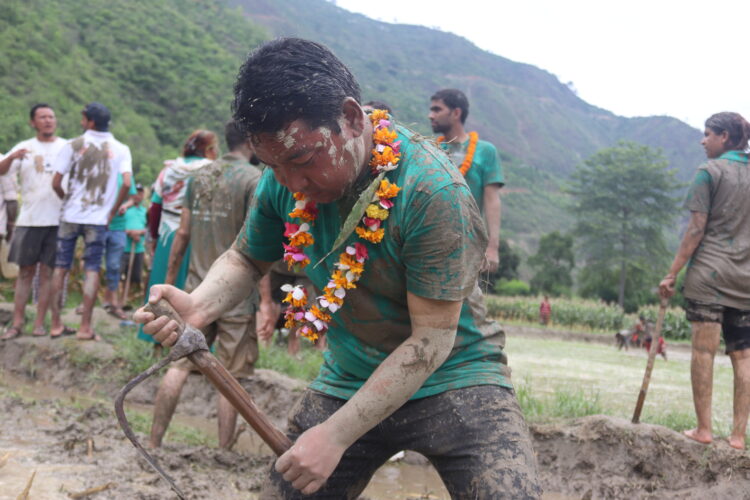 तेमालका प्रतिनिधिहरुले मनाए २० औँ राष्ट्रिय धान दिवस (फोटोफिचर)