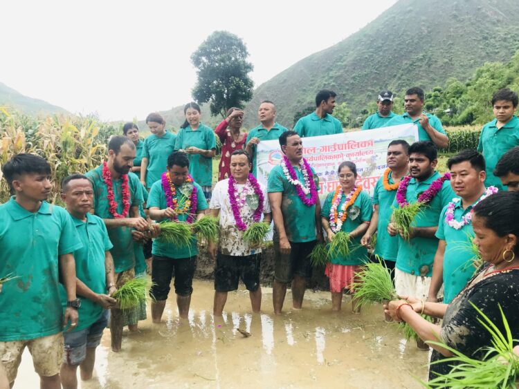 तेमालका प्रतिनिधिहरुले मनाए २० औँ राष्ट्रिय धान दिवस (फोटोफिचर)