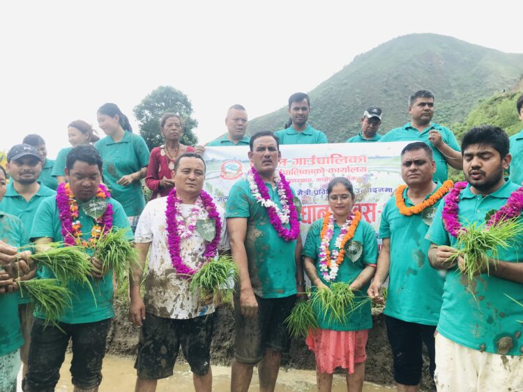 तेमालका प्रतिनिधिहरुले मनाए २० औँ राष्ट्रिय धान दिवस (फोटोफिचर)