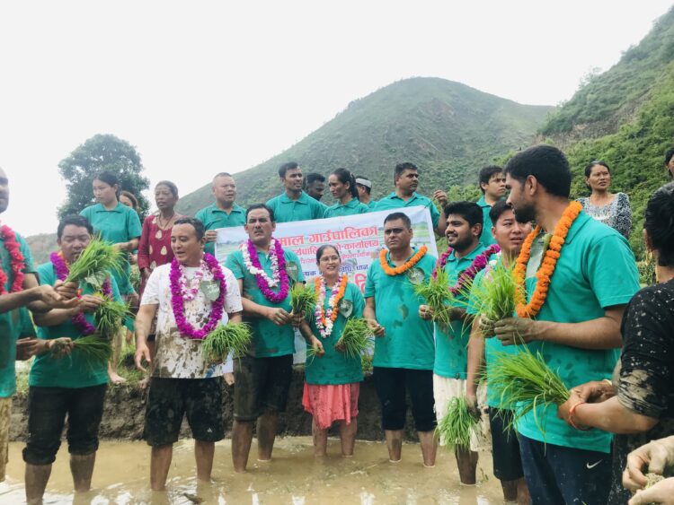 तेमालका प्रतिनिधिहरुले मनाए २० औँ राष्ट्रिय धान दिवस (फोटोफिचर)