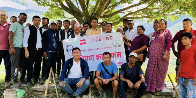 जननायक वी.पी. कोइरालाको ४१ औं स्मृति दिवसको अवसरमा मंगलटारमा वृक्षारोपण