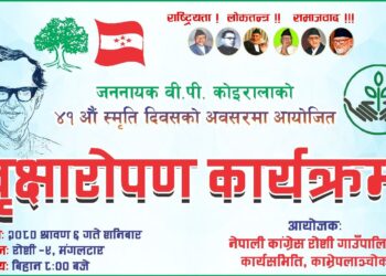 वी.पी. कोइरालाको ४१ औं स्मृति दिवसको अवसरमा  नेपाली कांग्रेस रोशी गाउँपालिका कार्यसमितिले वृक्षारोपण कार्यक्रम गर्दै