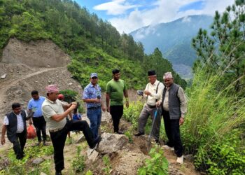 वी. पी स्मृती दिवसमा नमोबुद्धमा वृक्षारोपण