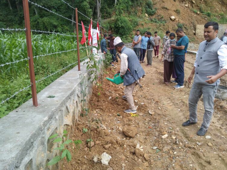 वीपी स्मृति दिवसः बेथानचोकमा साताव्यापी वृक्षारोपण कार्यक्रमको शुभारम्भ