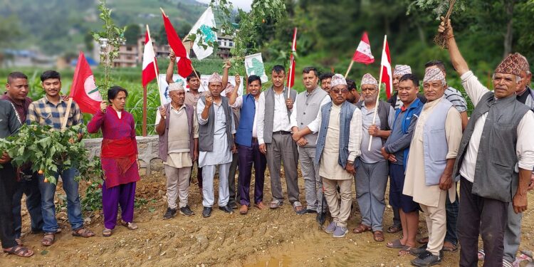 वीपी स्मृति दिवसः बेथानचोकमा साताव्यापी वृक्षारोपण कार्यक्रमको शुभारम्भ