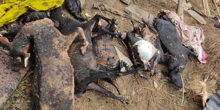 रोशी ९ च्यानटारको एक गोठमा आगलागी हुँदा ८० हजार भन्दा बढिको क्षती