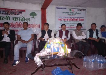 रोशीमा काङ्ग्रेसको अन्तरिक विशेष अभियान