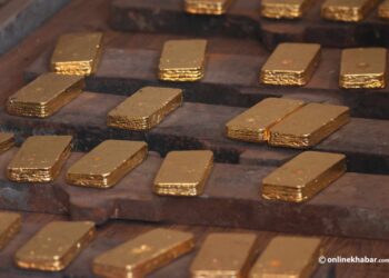 १ क्विन्टल भनिएको सुन गालेर जोख्दा ६० किलो ७१६ ग्राम मात्र