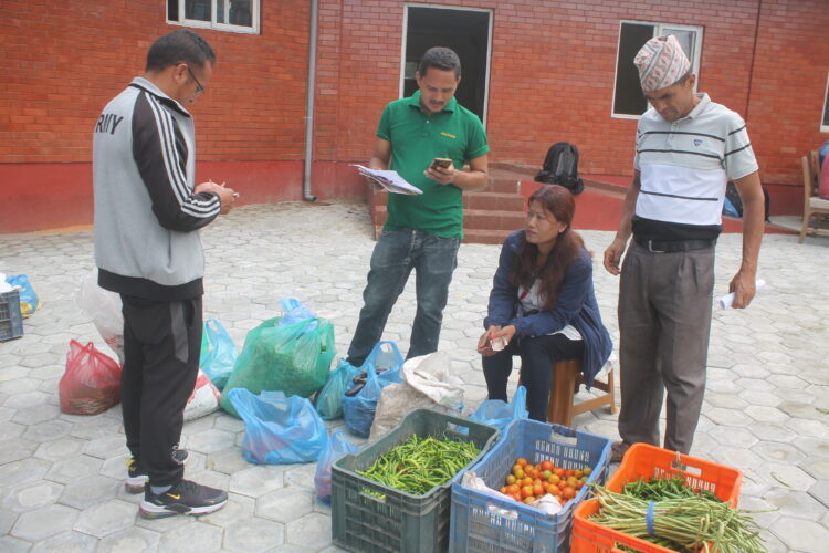 नगरकोटमा पहिलो पटक प्राङ्गारिक उन्मुख तकारीको हाट बजार शुरु