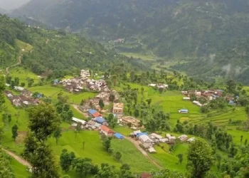 पूर्वाधारमा फड्को मार्दै महाभारत गाउँपालिका