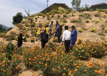 तिहारमा ढकमक्क सयपत्रीले सजिएको जनक मा वि