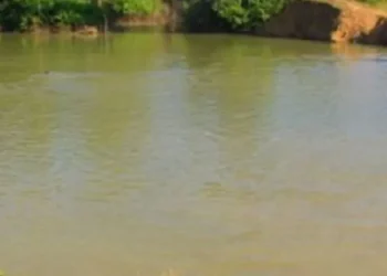 बनेपाको जंगलमा पर्यटन प्रवर्द्धनार्थ  कृत्रिम ताल निर्माण गरीदै