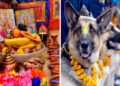आज कुकुर तिहार र लक्ष्मीपूजा एकै दिन मनाईदै