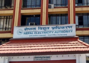 विद्युत प्राधिकरणद्वारा विभिन्न तहमा झण्डै चारसय कर्मचारीे माग