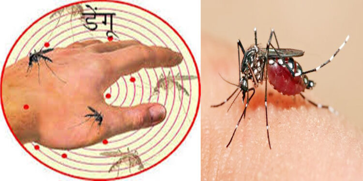 यो महिनाभरी नै डेङ्गीको जोखिमः विज्ञ