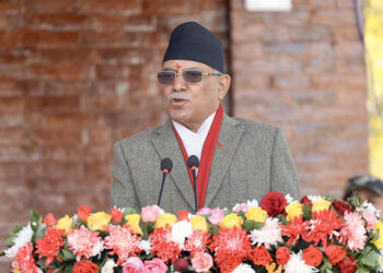 देशवासीलाई प्रधानमन्त्रीको प्रश्नः के देशमा साँच्चै केही नभएकै हो ?